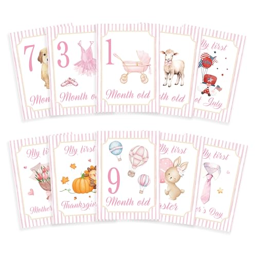 Baby Milestone Cards, 10pcs Double Sided Newborn Photo Prop, Baby Girl First Holiday, First Year Monthly Milestone Cards, Pink Pregnancy Announcement Ideas Decor Supplies(01) - style: Pink