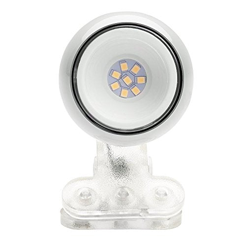 Newhouse Lighting NHCLP-JO-WH Joe LED Mini Clamp Lamp & Reading Spotlight Perfect for The Office, Study & Bedroom, White - color: White