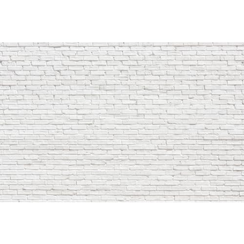White Brick Background for Photography Vintage White Brick Wall Photo Backdrop Newborn Baby Shower Girls Adults Portrait Photography Background Wallpaper Photo Studio Video Props 5x3ft - color: Brick_White, size: 5x3ft