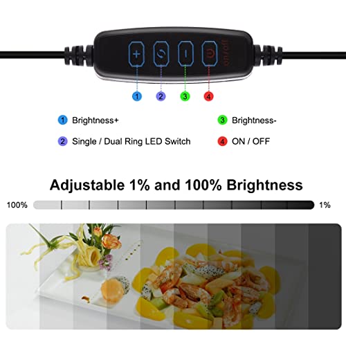 Lightbox, PULUZ 11.8"/30cm Photo Studio Light Box, Portable Picture Box Adjustable Brightness, Folding Professional Light Box Photography with Led Lights and 6 Colors Backdrops for Product Photography - color: 11.8x11.8x11.8in