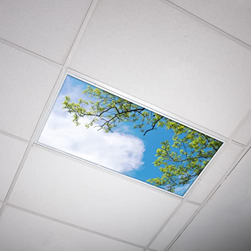 OCTO LIGHTS Tree Fluorescent Light Covers 2x4 Fixtures (22.38" x 46.5") Ceiling Light Cover for Classroom and Office, Decorative Light Covers for Ceiling Lights, Office Light Covers - (Pack of 1) - color: Blue Sky Acacia Tree, size: 1pk