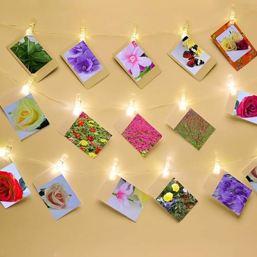 100pcs Photo Clips Mini Transparent Plastic Clear Paper Clips Mini Clothes Pins for Photos String Fairy Lights (100)