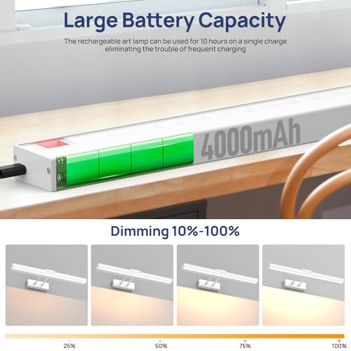 PESUTEN Picture Light Battery Operated, 16in Wireless Art Light for Paintings CCT Dimmable Recharging Battery Picture Light with Remote Control for Gallery Dartboard Art Bedroom Bathroom 2pcs White - color: White - 2 Pieces