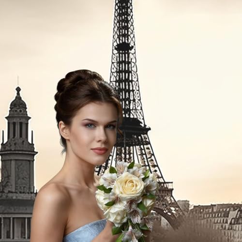 Travel Paris Backdrop Background for Photography 5x7ft Photobooth Professional Photo Backdrop Curtains Video Photography Studio Photo Backgrounds Banner Booth Background Screen Parties - color: Travel Paris