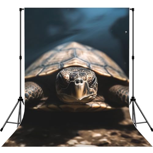 Animal Tortoise Backdrop Background for Photography 5x7ft Photobooth Professional Photo Backdrop Curtains Video Photography Studio Photo Backgrounds Banner Booth Background Screen Parties - color: Animal Tortoise