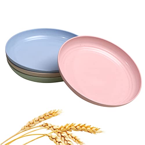 CAMBUY Wheat Straw Plates Lightweight Unbreakable Dinner Dishes Plates Set Dishwasher & Microwave Safe (Extra Large 4 Pack 10') - color: Extra Large Multicolour