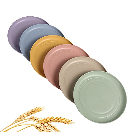 CAMBUY Wheat Straw Plates Lightweight Unbreakable Dinner Dishes Plates Set Dishwasher & Microwave Safe (Small 6 Pack 5.9') - color: Small Multicolour