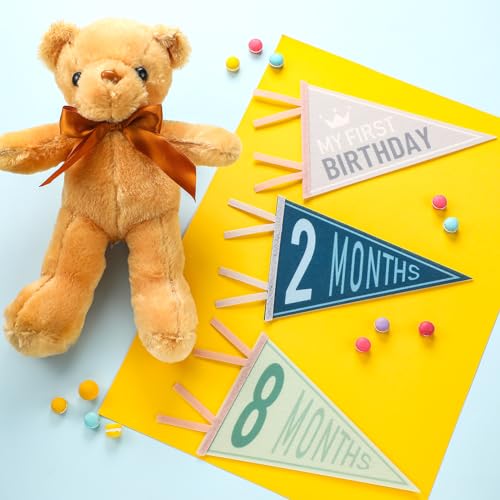 VitalCozy 14 Pcs Baby Milestone Pennant Signs Monthly Milestone Banner Flags Pennant Triangle Banner Age Flag Signs for Boy Girl Newborn Birthday Party Decor(Ocean Color) - color: Ocean Color