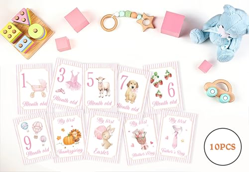 Baby Milestone Cards, 10pcs Double Sided Newborn Photo Prop, Baby Girl First Holiday, First Year Monthly Milestone Cards, Pink Pregnancy Announcement Ideas Decor Supplies(01) - style: Pink