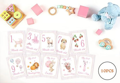 Baby Milestone Cards, 10pcs Double Sided Newborn Photo Prop, Baby Girl First Holiday, First Year Monthly Milestone Cards, Pink Pregnancy Announcement Ideas Decor Supplies(01) - style: Pink