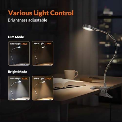 LEPOWER Clip on Light/Reading Light/Book Lights/Desk Lamp Color Changeable/Night Lights Clip on for Desk, Bed Headboard and Computers, Adapter Included, Silver - color: Silver