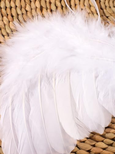 Holibeat 0-6M Newborn Baby Angel Wings with Feathers Newborn Photography Posing Props with a Headband (white1) - color: white1