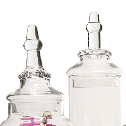 MyGift Clear Glass Apothecary Jars with Lid, Decorative Footed Vase, Candy Buffet Containers Set of 3 - color: Clear