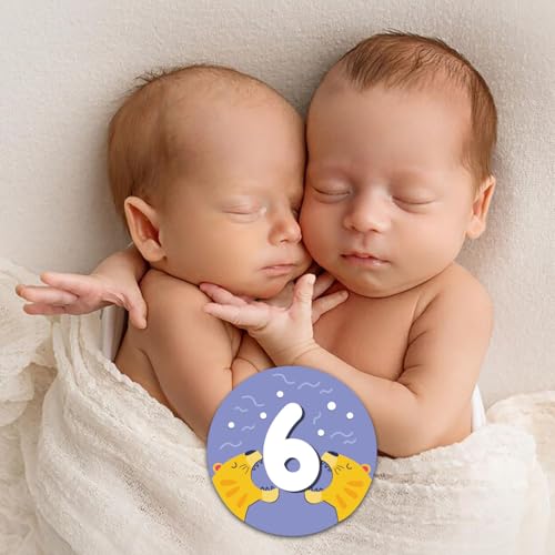 14 Designs Safari Twin Baby Monthly Milestone Cards Sign, 1-12 Months Wooden Photo Props for Twins, Gender-Neutral Twin Baby Shower Cards, Twins Memory Book Essentials (Twins Monthly Milestone) - color: Twins Monthly Milestone