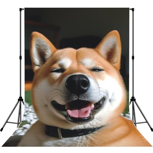 Shiba Inu Smile Tongue Out Backdrop Background for Photography 5x7ft Photobooth Professional Photo Backdrop Curtains Video Photography Studio Photo Backgrounds Banner Booth Background Screen Parties - color: Shiba Inu Smile Tongue Out