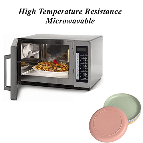 CAMBUY Wheat Straw Plates Lightweight Unbreakable Dinner Dishes Plates Set Dishwasher & Microwave Safe (Small 6 Pack 5.9') - color: Small Multicolour