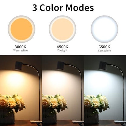 Dott Arts Desk Lamp,USB Clip On Light with 3 Color Modes,LED 10 Levels Brightness Reading Lamp, 360°Gooseneck Book Light,Eye-Care Reading Light for Home Office,Headboards White - color: White