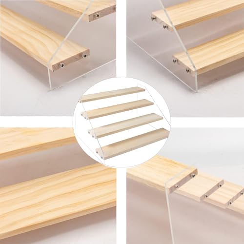 2 Pack 4 Tier 12 Inch Acrylic Wooden Display Stand, Clear Acrylic Display Riser Shelf Wood Tiered Display Shelf Rack Step Ladder Riser Stands for Cupcakes Perfumes Figures Collectibles