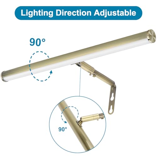 LED Picture Lights for Paintings Plug in, 16inch 6W Adjustable Art Light Gallery Wall Light for Display Art Work, Antique Brass Finish, CRI90+, 3000K Warm White - color: Antique Brass, size: 16 inch