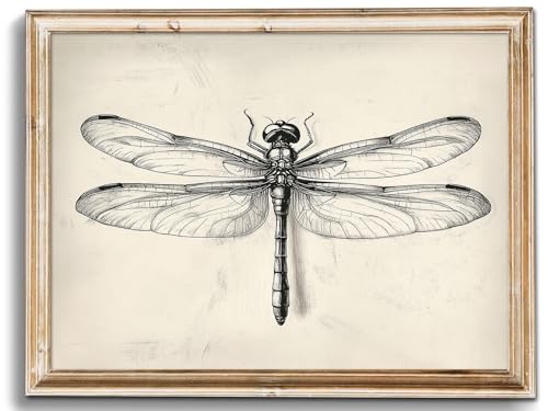 uniro Vintage Dragonfly Sketch Wall Art Prints Farmhouse Decor Neutral Insect Animal Wall Decor, Antique Dragonfly Sketch Drawing Canvas Oil Painting Vintage Artwork Pictures for Bedroom Living Room Decor (8" x 10"-UNFRAMED) - color: Dragonfly Sketch