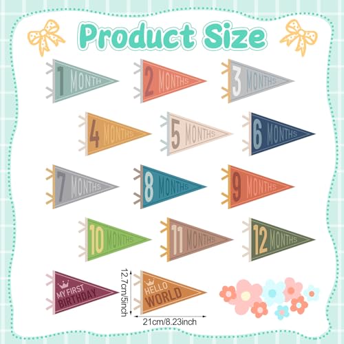 VitalCozy 14 Pcs Baby Milestone Pennant Signs Monthly Milestone Banner Flags Pennant Triangle Banner Age Flag Signs for Boy Girl Newborn Birthday Party Decor(Classical Color) - color: Classical Color