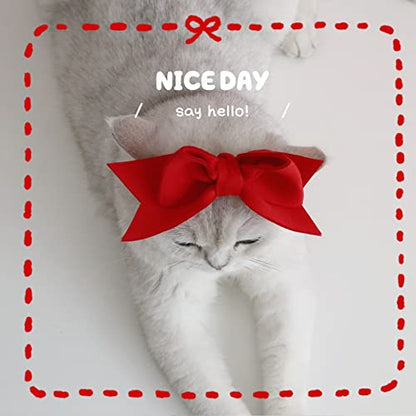2Pack Pet Cute Bow Headbands Stretchy Handmade Bow Headband for Dog Cat Puppy Bathroom Apparel Birthday Party Wedding Xmas New Year Valentines Day Costume Photo Prop(Pink, Red)