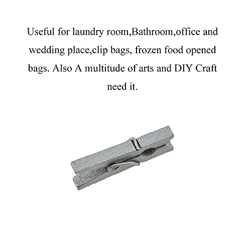 HAHIYO Silver Wooden Clothes Pins Clothespins Mini Do NOT Fall Apart 1 inches Length 80 Pack Sturdy Strong Springs No Rust No Discoloration for Laundry Bathroom DIY Craft Photos Food Opened Bags - size: Silver 1 inches 80 Pack