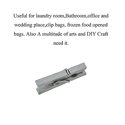 HAHIYO Silver Wooden Clothes Pins Clothespins Mini Do NOT Fall Apart 1 inches Length 80 Pack Sturdy Strong Springs No Rust No Discoloration for Laundry Bathroom DIY Craft Photos Food Opened Bags - size: Silver 1 inches 80 Pack