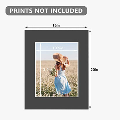 Somime 10 Pack Picture Mats 16x20 for 11x14 Photos, Acid Free Black 16x20 Precut Mat, White Core Bevel Cut Frame Matte, Ideal for Frames, Pictures - size: black 10pc precut 16x20