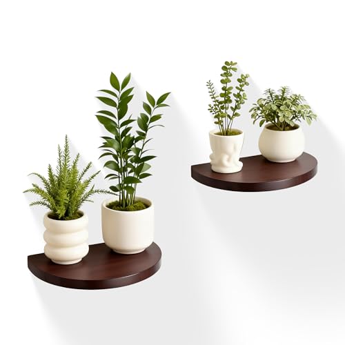 Small Wood Floating Shelves (2-Pack, 8-inch Diameter) - Round Sturdy Invisible Wall Mount Display for Small Plants,Toys,Bathroom,Living Room Storage & Modern Rustic Décor (Dark Walnut) - color: Dark Walnut, size: 8 Inch-2 Pcs