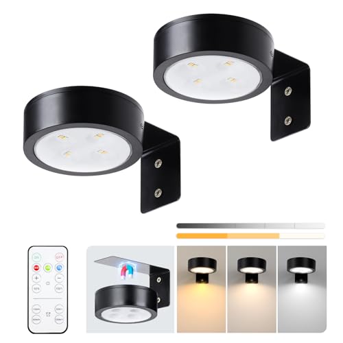 2-Pack Picture Light Battery Operated with Remote, LED Painting Lights, Dimmable and Timer Painting Light, Art Display Light for Picture Frame Artworking Portrait, Home Wall Decor Black display light - color: Black 2 Pack