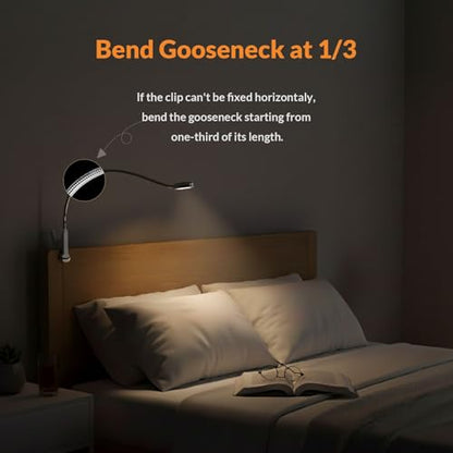 LEPOWER Clip on Light/Reading Light/Book Lights/Desk Lamp Color Changeable/Night Lights Clip on for Desk, Bed Headboard and Computers, Adapter Included, Silver - color: Silver
