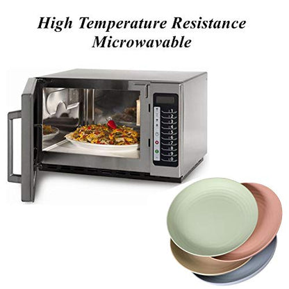 CAMBUY Wheat Straw Plates Lightweight Unbreakable Dinner Dishes Plates Set Dishwasher & Microwave Safe (Extra Large 8 Pack 10') - color: Extra Large Double Multicolour
