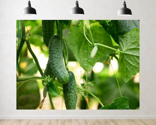 Trykid 8x8ft Fresh Cucumber Backdrop Green Vegetable Growing on Vine Garden Farm Harvest Scene Photography Background Food Wedding Party Decoration Tapestry Photo Booth Prop Fabric - size: 8x8ft