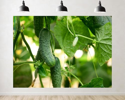 Trykid 6x6ft Fresh Cucumber Backdrop Green Vegetable Growing on Vine Garden Farm Harvest Scene Photography Background Food Wedding Party Decoration Tapestry Photo Booth Prop Fabric - size: 6x6ft