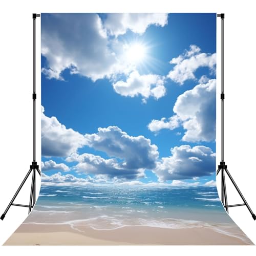 Blue Sky and White Cloud Backdrop Background for Photography 5x7ft Photobooth Professional Photo Backdrop Curtains Video Photography Studio Photo Backgrounds Banner Booth Background Screen Parties - color: Blue Sky And White Cloud