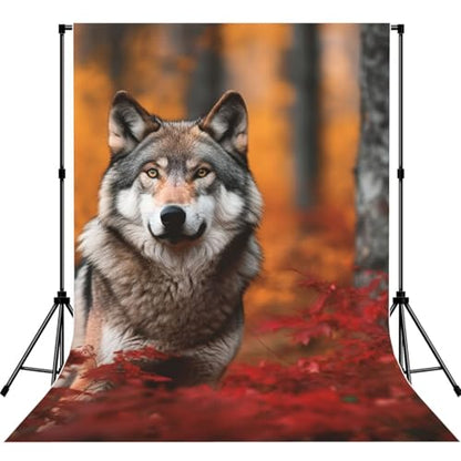 Autumn Animals Wolf Backdrop Background for Photography 5x7ft Photobooth Professional Photo Backdrop Curtains Video Photography Studio Photo Backgrounds Banner Booth Background Screen Parties - color: Autumn Animals Wolf