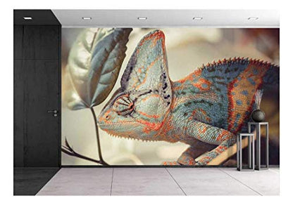 wall26 - Yemen Chameleon - Removable Wall Mural | Self-Adhesive Large Wallpaper - 66x96 inches - color: Artwork - 03, size: 66"x96"