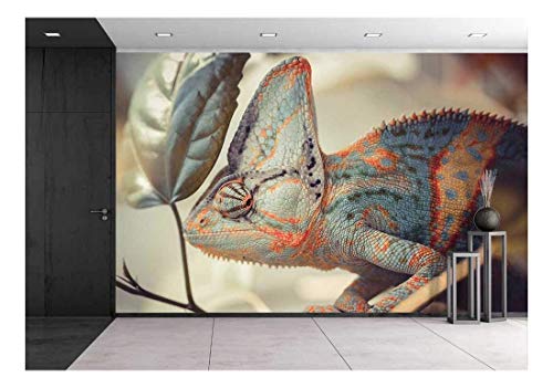 wall26 - Yemen Chameleon - Removable Wall Mural | Self-Adhesive Large Wallpaper - 66x96 inches - color: Artwork - 03, size: 66"x96"