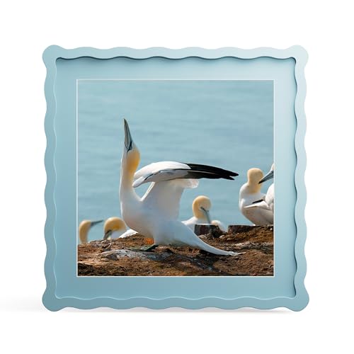 12x12 Picture Frame with Mat for 10x10, Wavy Edge Wooden Real Glass Photo Frame for Wall Hanging, Blue, 1 Pack - color: Blue, size: 12x12 in