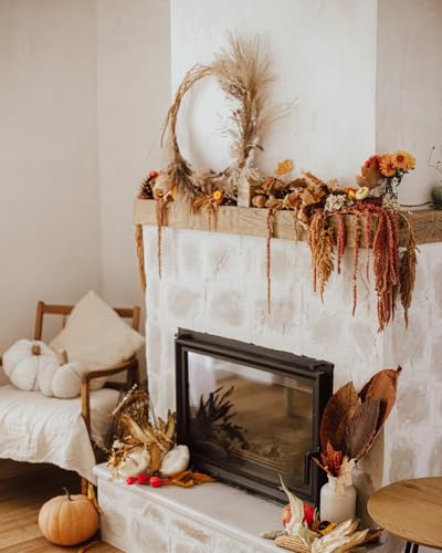 10Pcs Brown Preserved Hanging Amaranthus Flowers - 23" Cascading Dried Flower Tassels for Boho Wedding Arch, Vase Arrangements, Backdrop Installations & Home Decor