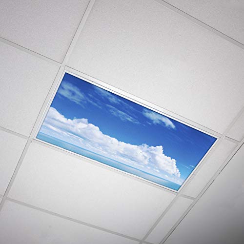 OCTO LIGHTS Fluorescent Light Covers Cloud Sky Panel for Ceiling Lights, Light Covers for Ceiling Lights Classroom 2x4 (22.38"x46.5") Backlit Film Insert for Fluorescent Light Fixtures (Pack of 1) - color: Cumulonimbus, size: 1pk