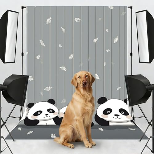 Funny Baby Panda Backdrop Background for Photography 5x7ft Photobooth Professional Photo Backdrop Curtains Video Photography Studio Photo Backgrounds Banner Booth Background Screen Parties - color: Funny Baby Panda