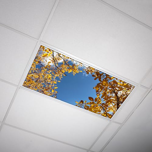 OCTO LIGHTS Tree Fluorescent Light Covers 2x4 Fixtures (22.38" x 46.5") Ceiling Light Cover for Classroom and Office, Decorative Light Covers for Ceiling Lights, Office Light Covers - (Pack of 1) - color: Autumn Yellow, size: 1pk