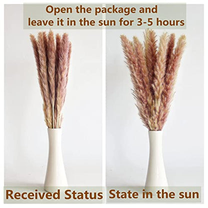 110 PCS of Boho Pampas Grass Decor, Naturally Dried Pompas, Bunny Tails Dried Flowers, and dried eucalyptus. Perfect for Weddings, Boho Party Decorations, and Table Decor. - size: 110PCS 14-17inch Mixed
