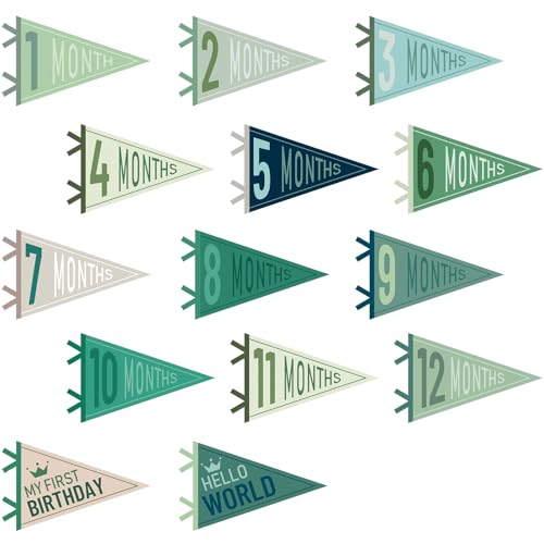 VitalCozy 14 Pcs Baby Milestone Pennant Signs Monthly Milestone Banner Flags Pennant Triangle Banner Age Flag Signs for Boy Girl Newborn Birthday Party Decor (Morandi) - color: Morandi
