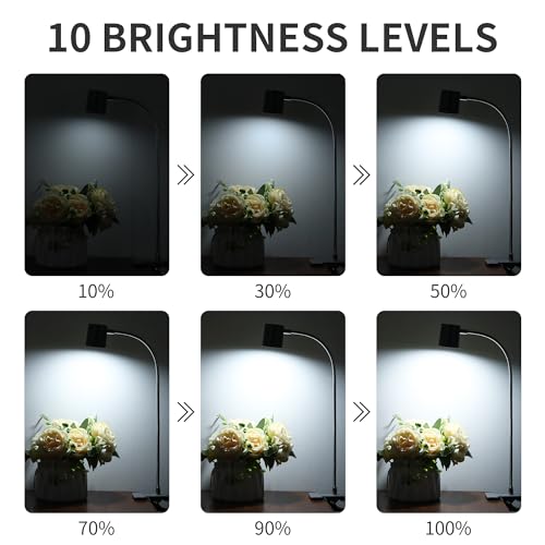 Dott Arts Desk Lamp,USB Clip On Light with 3 Color Modes,LED 10 Levels Brightness Reading Lamp, 360°Gooseneck Book Light,Eye-Care Reading Light for Home Office,Headboards Grey - color: Gray
