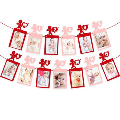 Valentine’s Day 12 Months Photo Banner Heart Theme Garland Pink Red Valentine's Day 1st Birthday Party Newborn First Year Decor