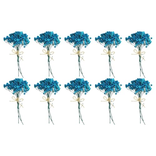 PATIKIL Mini Dried Flower Bouquet, 10 Pcs Baby's Breath Natural Wildflower with Stem Decor Boho Floral Plant Flower for Crafts DIY Photo Props Gift Wedding Decor, Blue - color: Blue