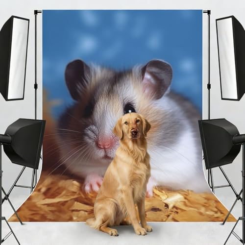 Hamster Backdrop Background for Photography 5x7ft Photobooth Professional Photo Backdrop Curtains Video Photography Studio Photo Backgrounds Banner Booth Background Screen Parties - color: Hamster